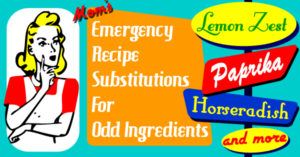 MomsRetro Emergency Recipe Substitutions for Odd Ingredients like lemon zest, horseradish, mustard and paprika