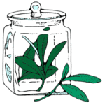 Sage Jar